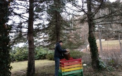 New Composter Installed in Front of Municipality Building: Our Journey Toward a Greener Future!