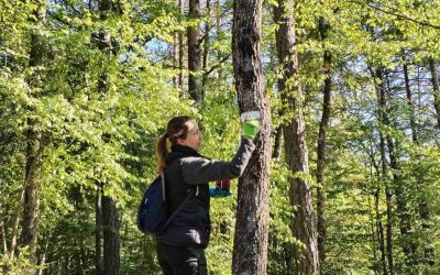Expanding Our Green Footprint: New Eco-Trail in the Village of Selište