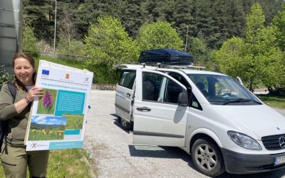 Мобилната културна станция в Горското стопанство – с. Хвойна: когато природата става класна стая